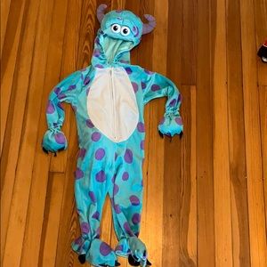 Monster INC Sulley costume